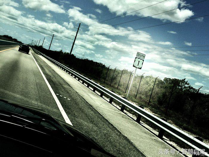 野鹅旅行,野鹅自驾无人区