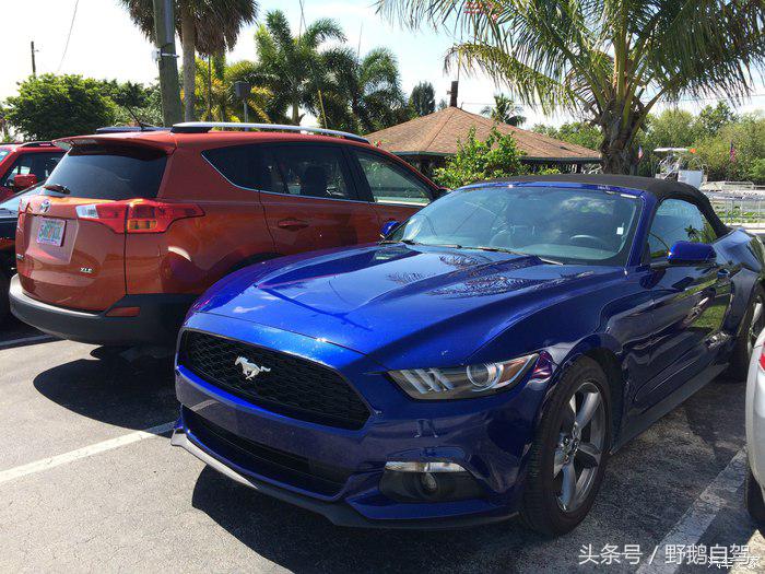 野鹅旅行,野鹅自驾无人区