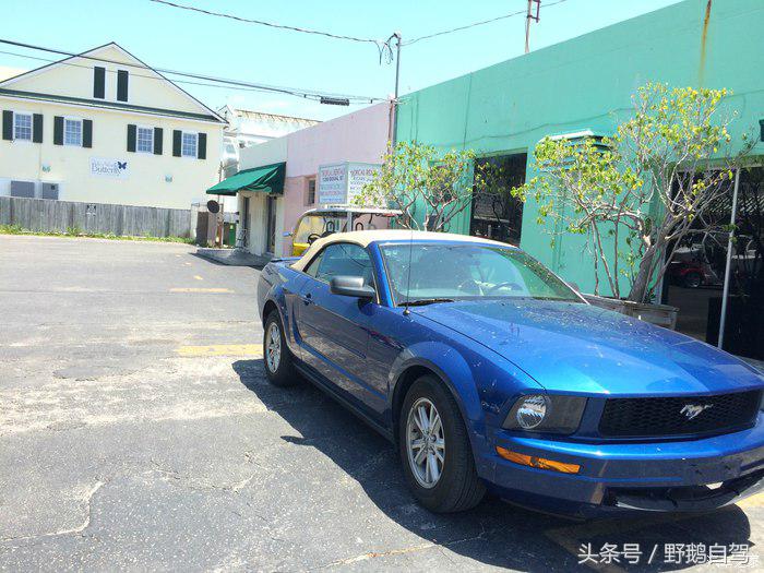 野鹅旅行,野鹅自驾无人区