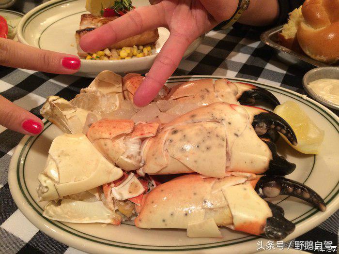 野鹅旅行,野鹅自驾无人区