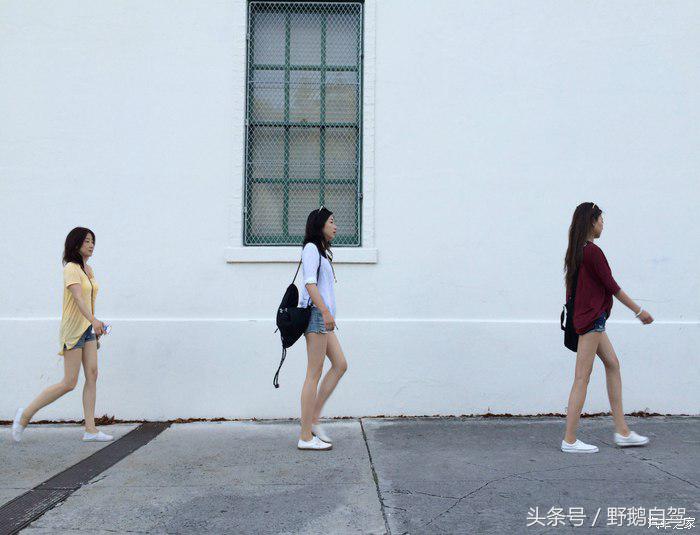 野鹅旅行,野鹅自驾无人区