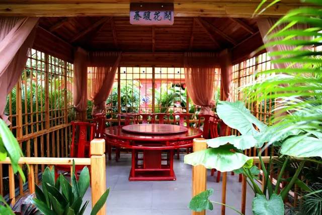 松阳民宿推荐,松阳比较出名的民宿