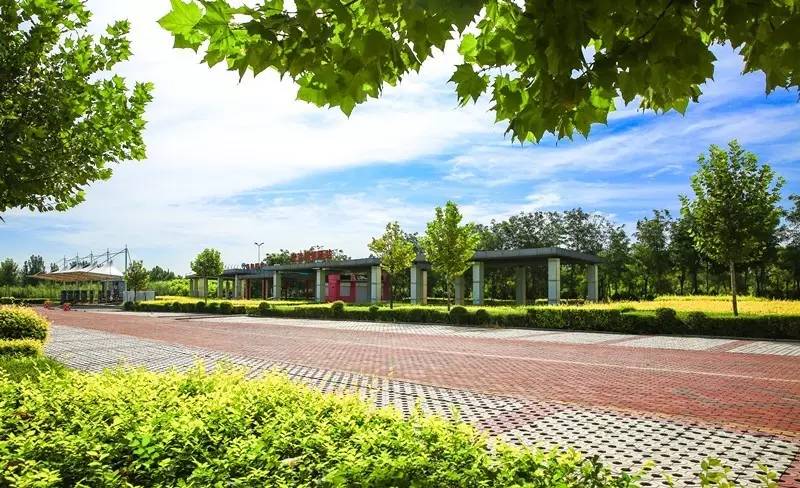 体育赛况直播,自行车赛邢台直播