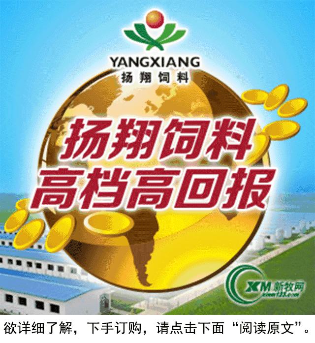 河南养猪业巨头,河南养猪身价百倍