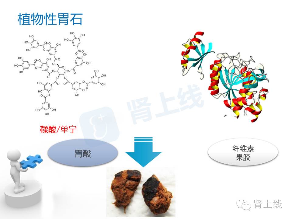 吃山楂取出胃结石,吃10个山楂胃结石有多少