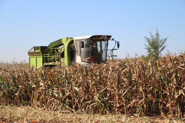 润源玉米收割机青储机,济宁市润煤玉米收获机