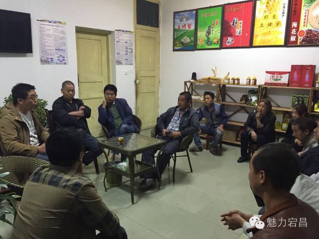 电商扶贫电商村打造,农村电商陇南成县资源整合