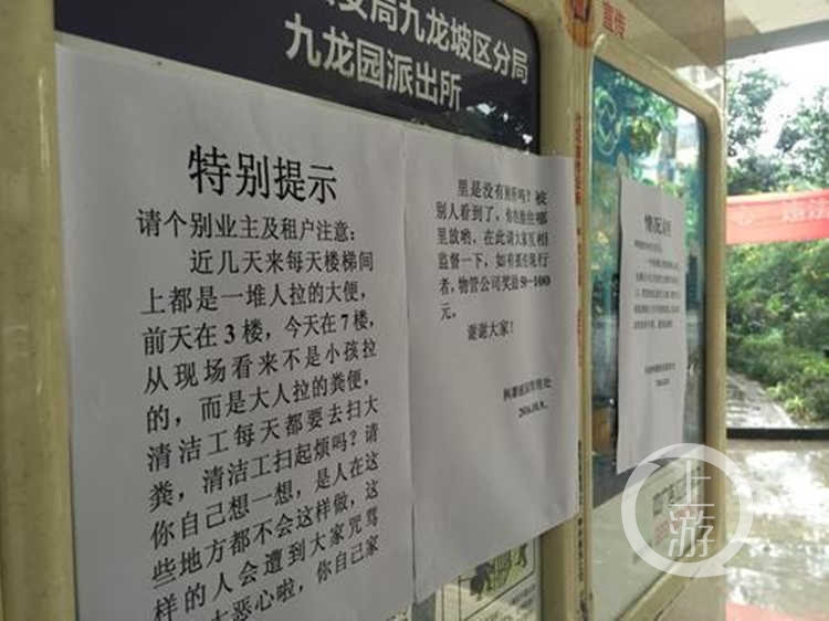 小区禁止随地大小便告示,小区楼道有人随地大小便怎么举报