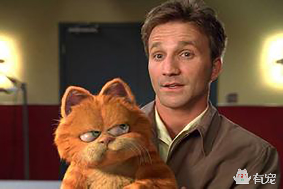 如果你是加菲，你会问吗？