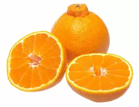 鍗佸ぇ鍦熻豹姘存灉,鍦熻豹鍚冨緱璧风殑鍥涚椤剁骇姘存灉