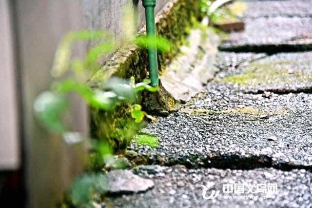 遇见老街啤酒咖啡屋,遇见老街扬州