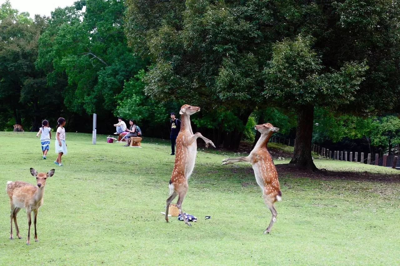姣忎釜浜洪兘琚楠楄繃,姣忎釜浜洪兘浼氳娆洪獥