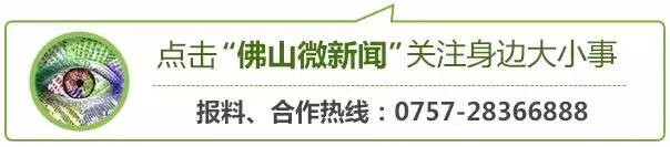 “佛山韵律”集结号已吹响！一大波精彩文化活动保证让你拍照拍到手软