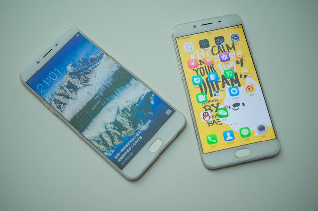 拍照时突然有惊喜,oppor9s拍照怎么样