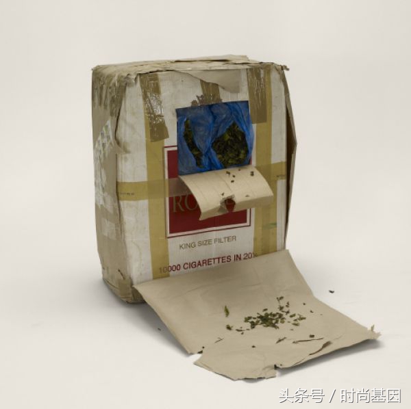 禁止食品进入的法律规定,禁止带入美国的中草药