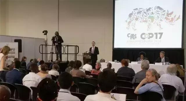 濒危黄檀属,2013年濒危黄檀属