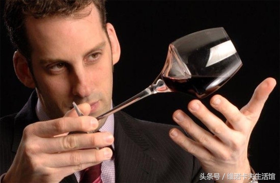 九条茶的基本知识,九条冷门知识