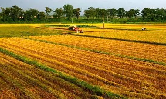 农村电商遇到的奇葩事例,农村电商的七个现实问题有哪些