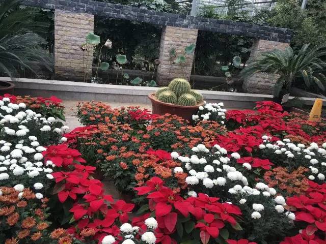 美丽安徽行视频,美丽安徽行齐云山