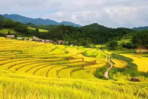 涓嶈兘澶栧嚭娓哥帺瀹呭湪瀹堕噷,涓嶈兘澶栧嚭鏃呰鍦ㄥ涔熷緢蹇箰
