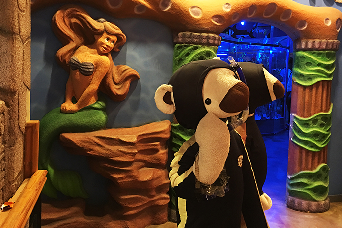 泰迪熊博物馆韩国购物,泰迪熊博物馆韩国图