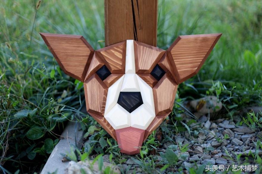 铲屎官宠物用品,铲屎官们给你的宠物准备了吗