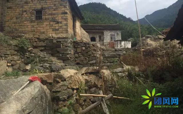 团风深山古稀老人的板栗梦.....