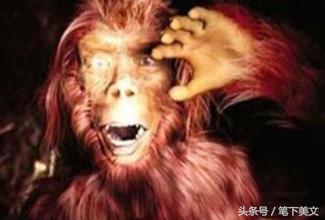 每逢五年登上钻石岛！为财富拼上性命，小伙遭遇母野人抢亲生子！