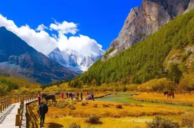 稻城从你的全世界路过片段,稻城从你的全世界路过