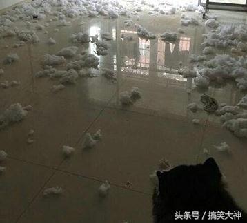 父爱如山伟大的妈妈,父爱如山总是那么的伟大