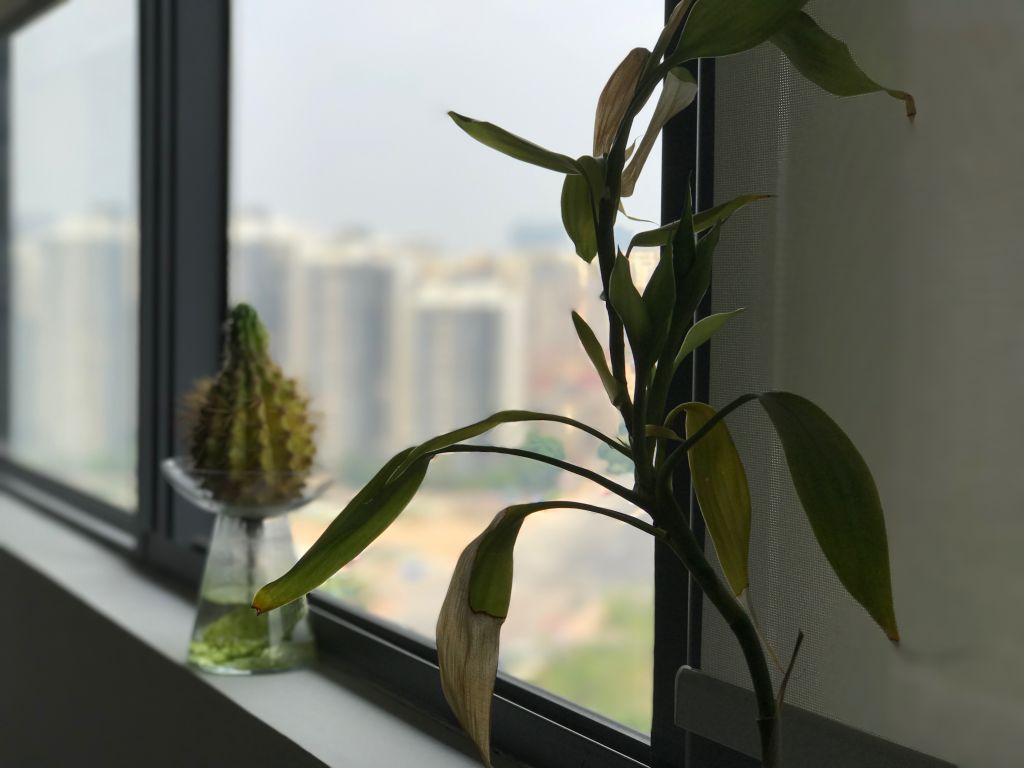 iphone7plus评测,苹果7plus测评还值得购买吗