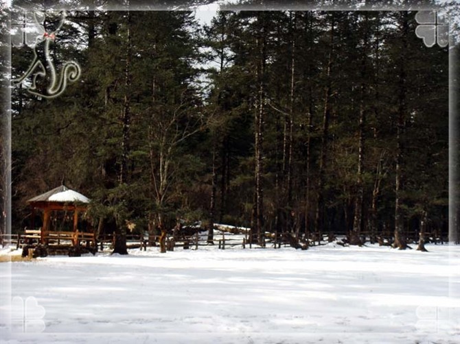 2015游云南玉龙雪山 (昆明玉龙雪山之旅)