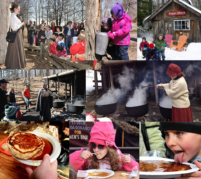 中国去加拿大带点什么特产,加拿大有什么好的特产