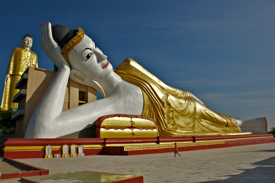 缅甸野人山砍树,村民在原始次生林发现仙草