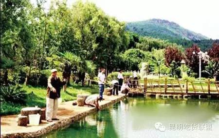 板扎昆明,板扎云南烧烤