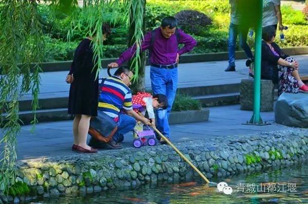 都江堰旅游团一日游攻略图片手绘,都江堰四日游线路推荐攻略