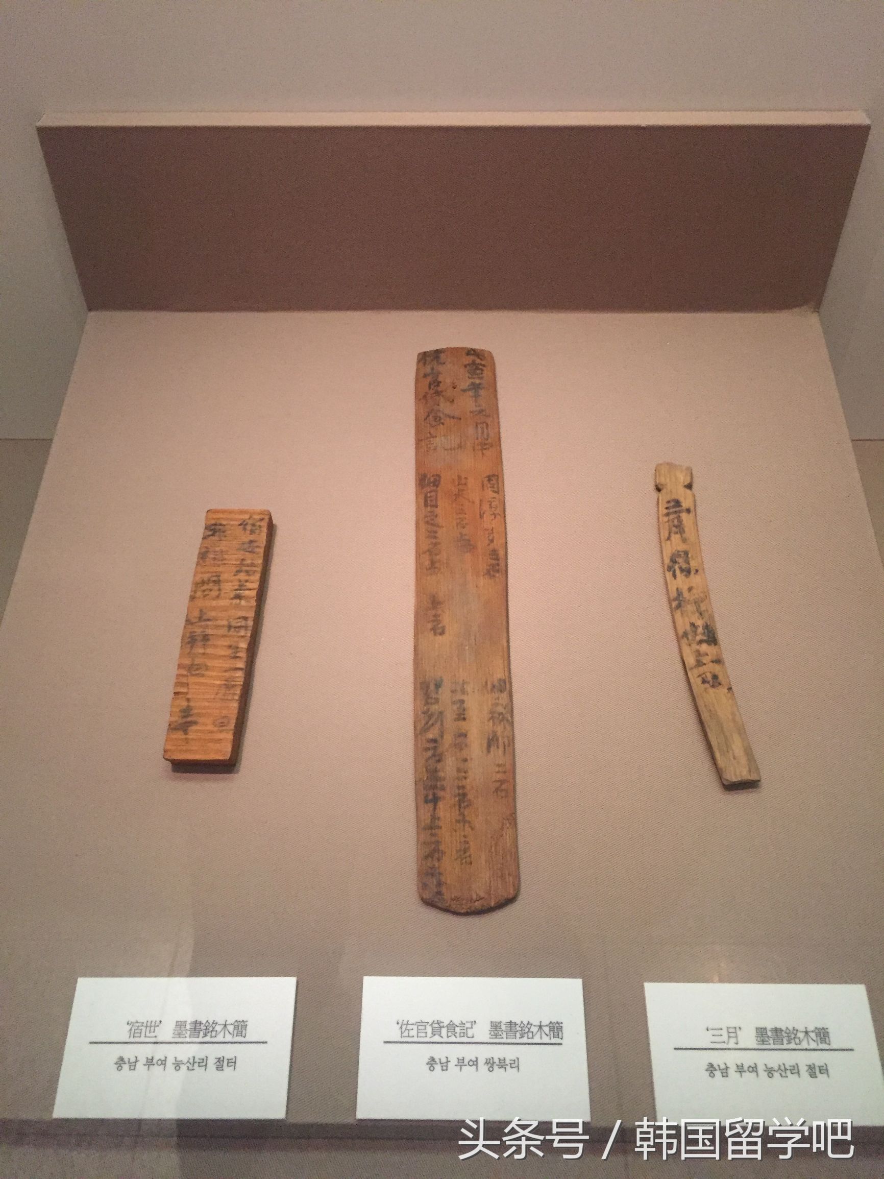 老教授带学生去山洞找文物,韩国教授来到中国博物馆