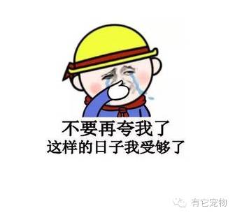 明明可以靠脸吃饭偏偏要靠球技,明明可以靠脸吃饭却偏偏要靠实力