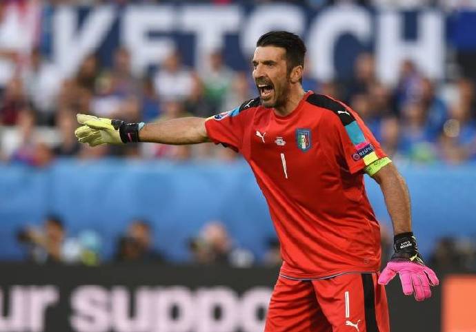 布冯的足球职业生涯,全民冠军足球布冯