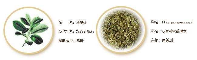 化工厂对肝脏有损伤吗,肝脏是化工厂怎么解释