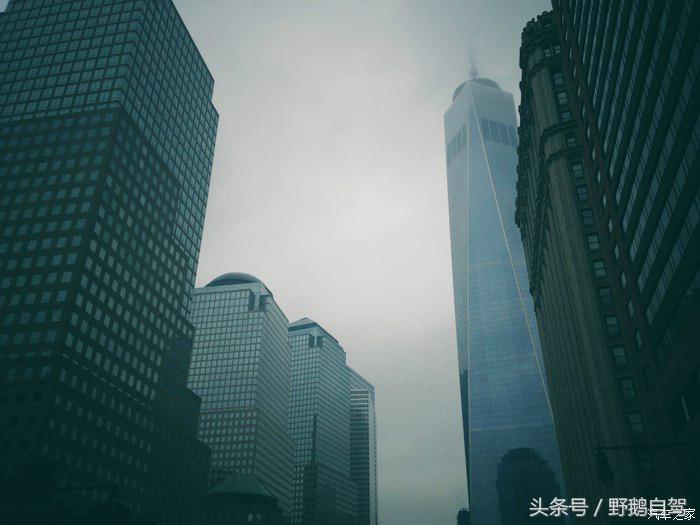 野鹅旅行,野鹅自驾无人区