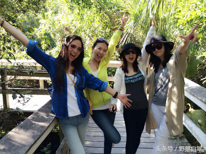 野鹅旅行,野鹅自驾无人区