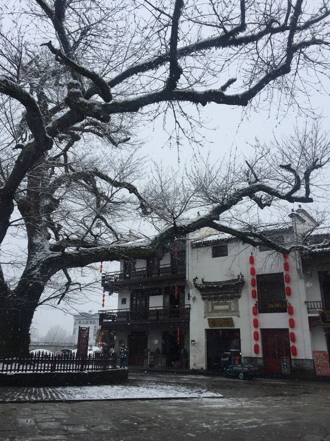 九华山黄山西递宏村纯玩四日游,黄山宏村经典四日游附详细攻略