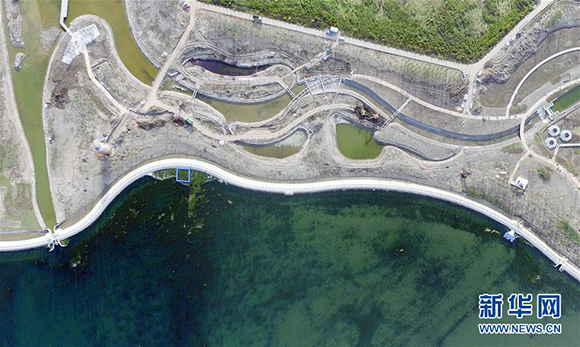 上海一周区情：申城街头添“小蓝车”金山大桥改扩建动工