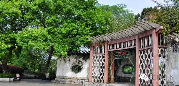 最佳赏桂花地点手绘地图,桂花赏花地图