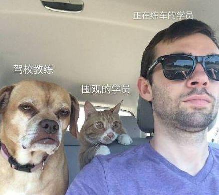 能打差评,还能拒付费,在杭州可以这样学车?!