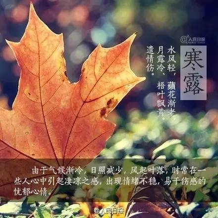 寒露可以露脚吗,寒露不宜露脚的危害
