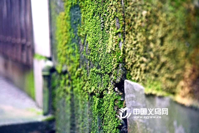 遇见老街啤酒咖啡屋,遇见老街扬州