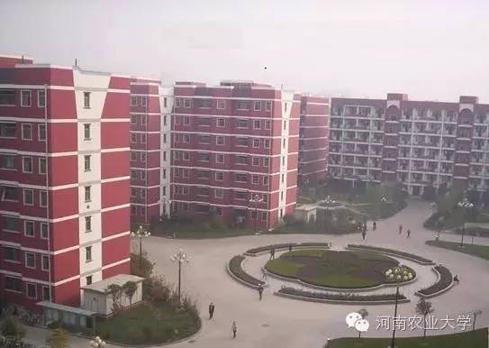 特别策划三分钟过后，农大小石榴马上开挂成老鸟！