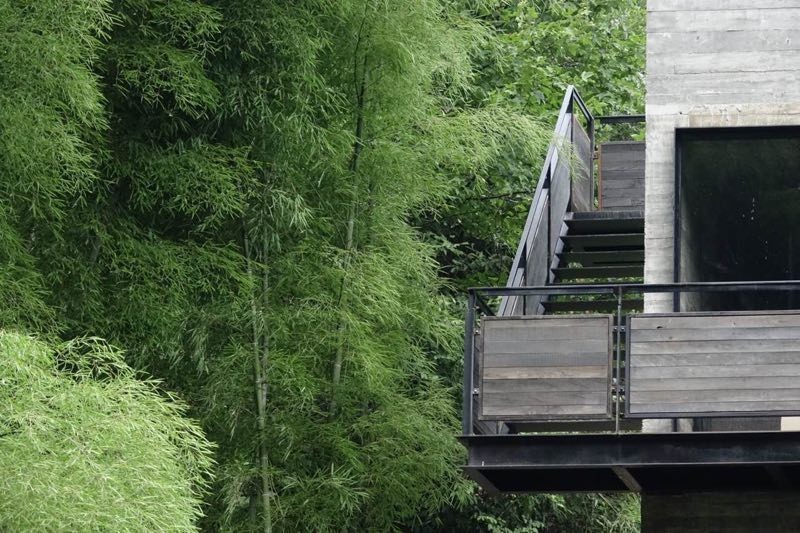 拜访外婆家创始人吴国平出生年月,外婆家创始人吴国平民宿